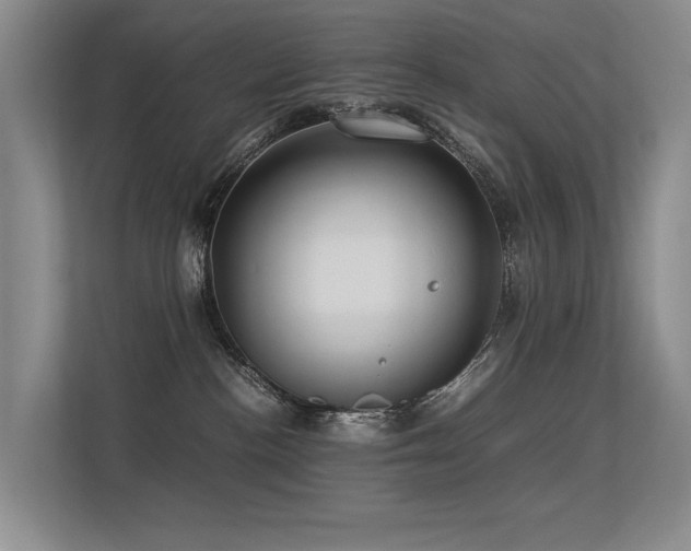 X0000113310188200909141319