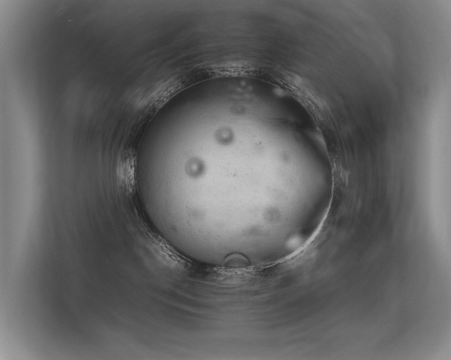 X0000113310190200909141319