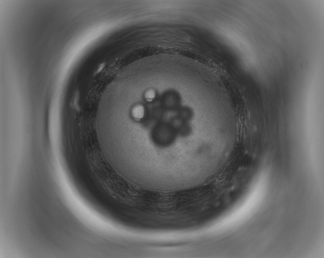 X0000113310191200909141319