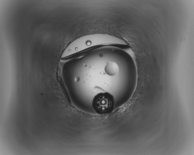 X0000113310192200909141319