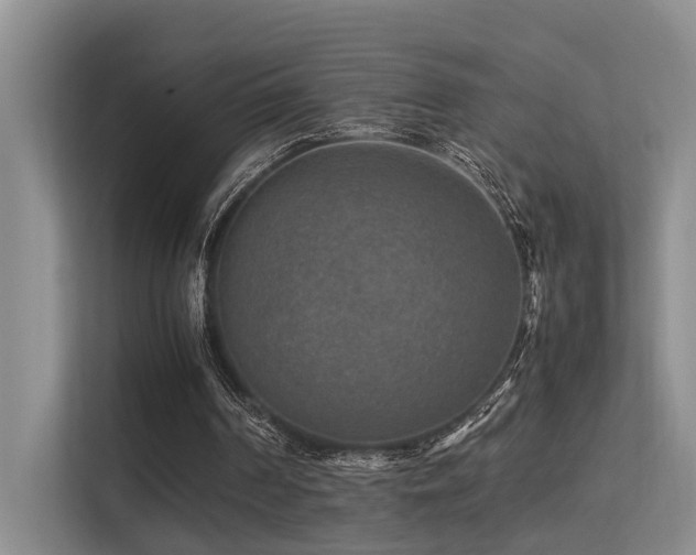 X0000113310194200909141318