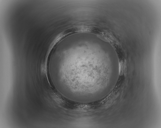 X0000113310195200909141318