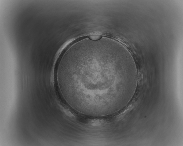 X0000113310200200909141318