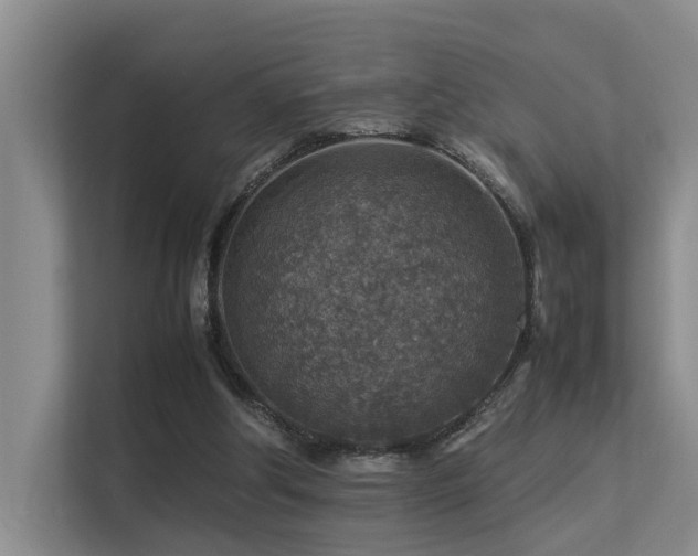 X0000113310202200909141318