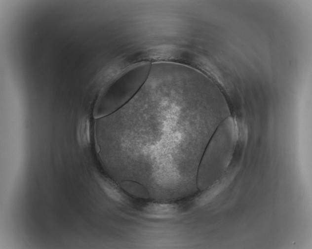 X0000113310205200909141318