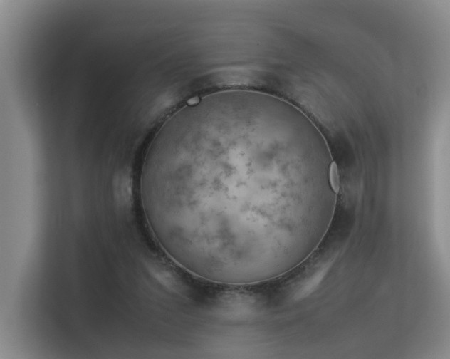 X0000113310207200909141318