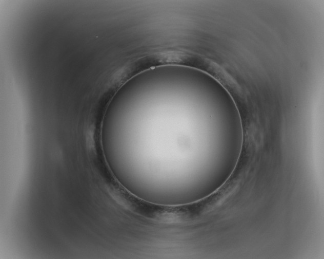 X0000113310209200909141318