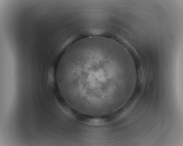 X0000113310212200909141318