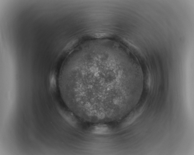 X0000113310214200909141318