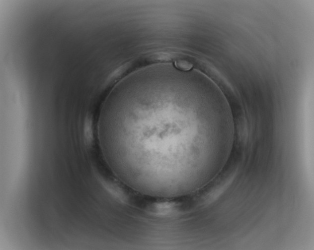 X0000113310216200909141318