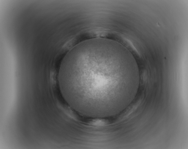 X0000113310218200909141318