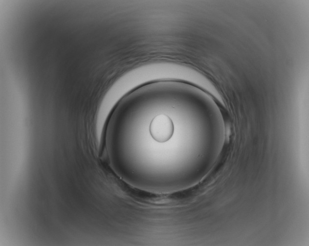 X0000113310219200909141318