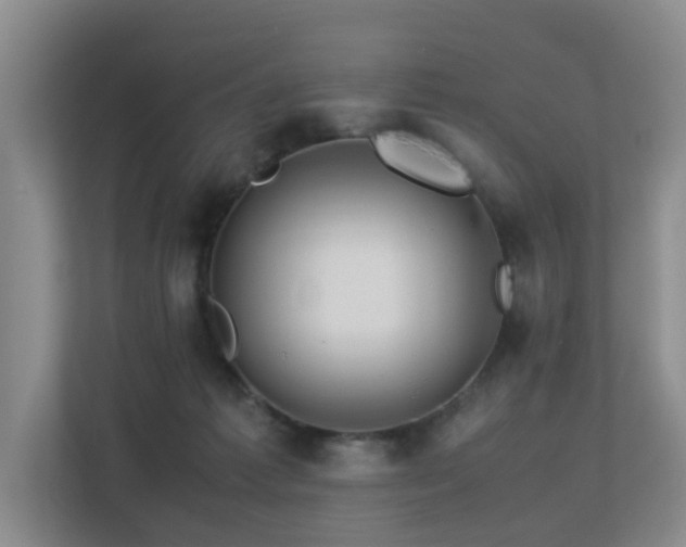 X0000113310221200909141318