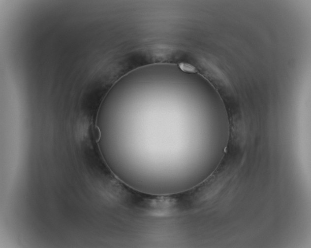 X0000113310225200909141318