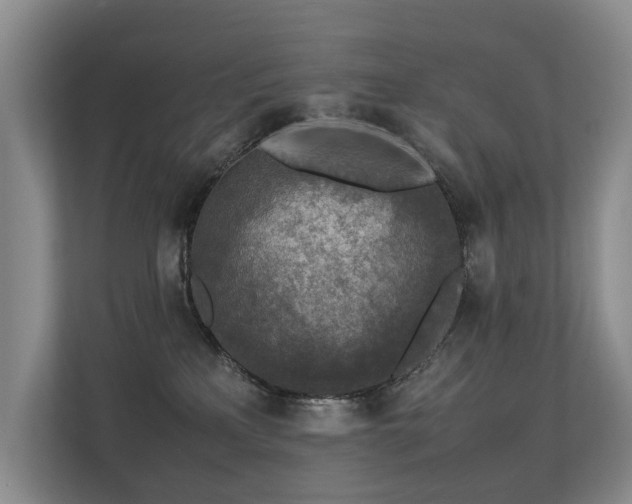 X0000113310233200909141318