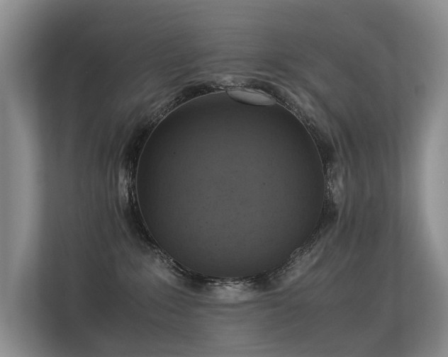 X0000113310235200909141318