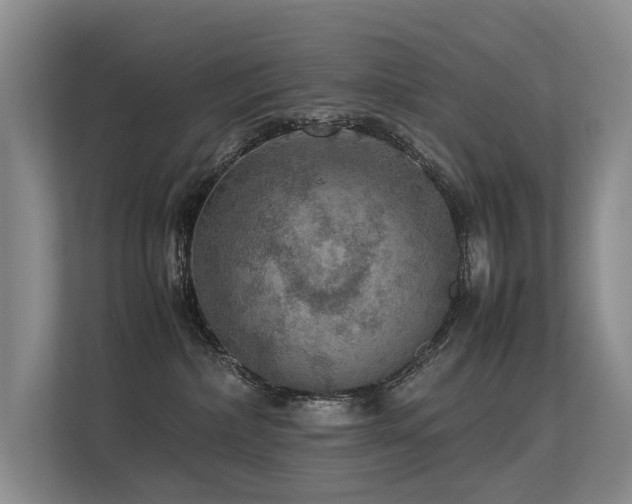 X0000113310236200909141318