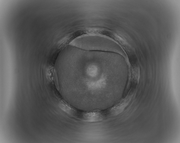 X0000113310237200909141318