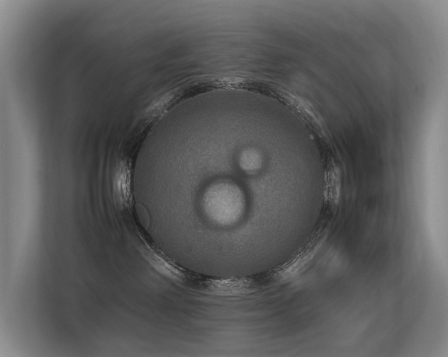 X0000113310238200909141318