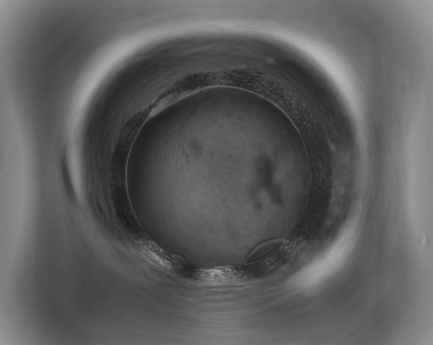 X0000113310239200909141318