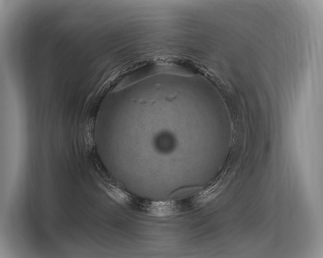 X0000113310240200909141318