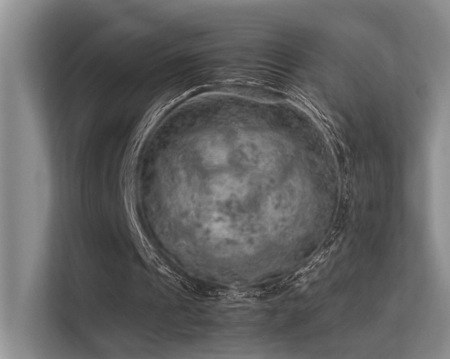 X0000113310241200909141317