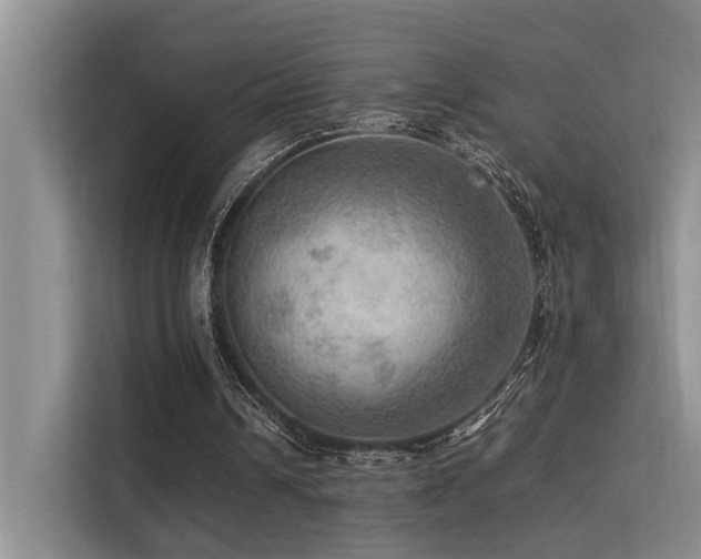 X0000113310242200909141317