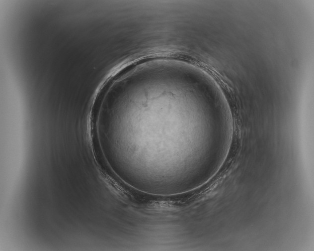 X0000113310244200909141317