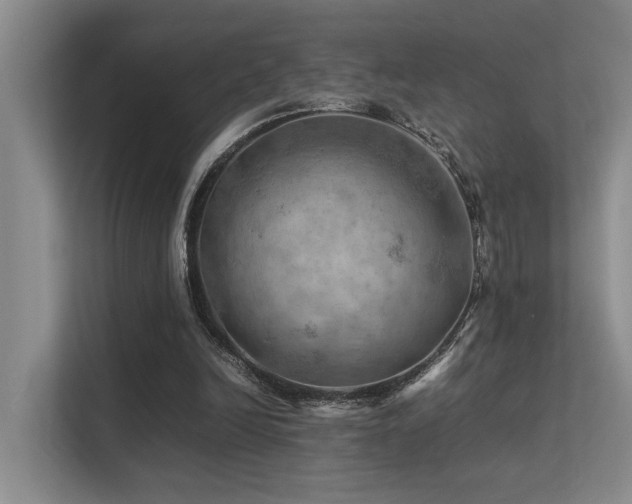 X0000113310246200909141317