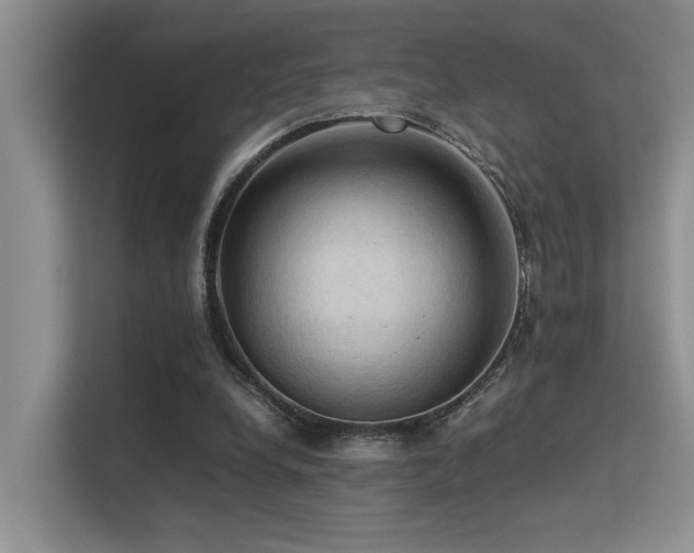 X0000113310248200909141317