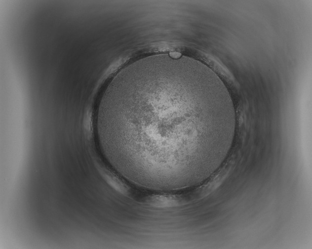 X0000113310250200909141317