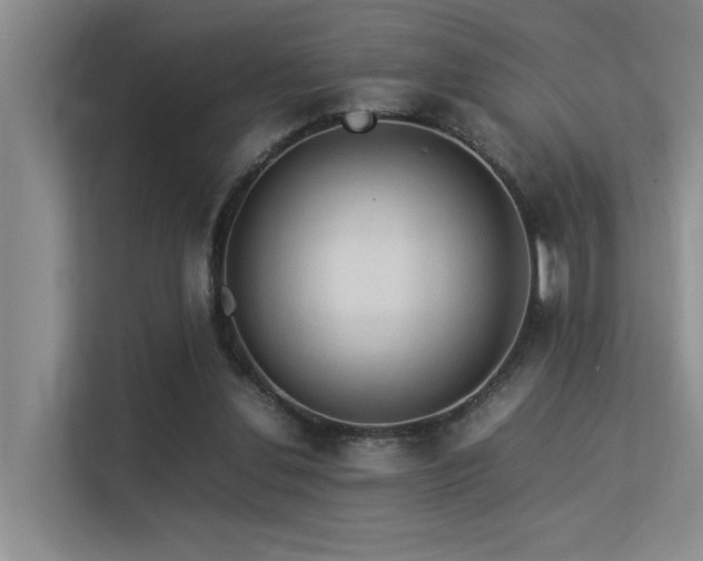 X0000113310252200909141317