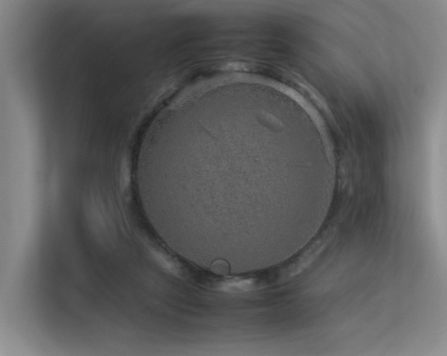 X0000113310257200909141317