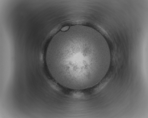 X0000113310258200909141317