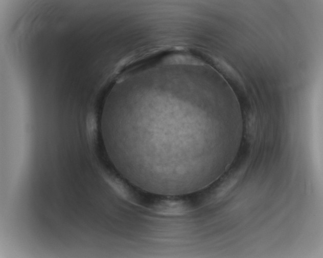 X0000113310260200909141317