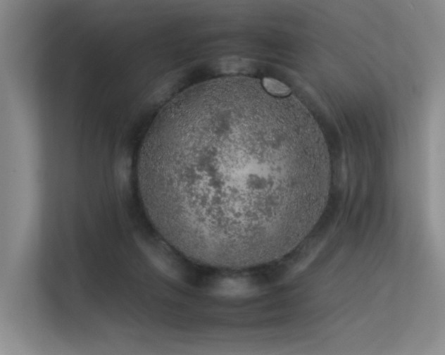 X0000113310263200909141317