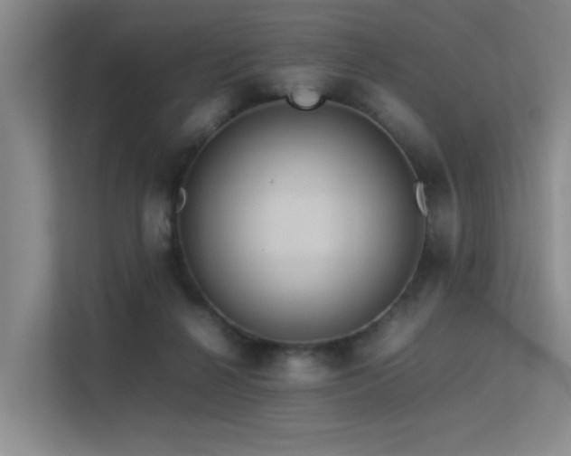 X0000113310264200909141317