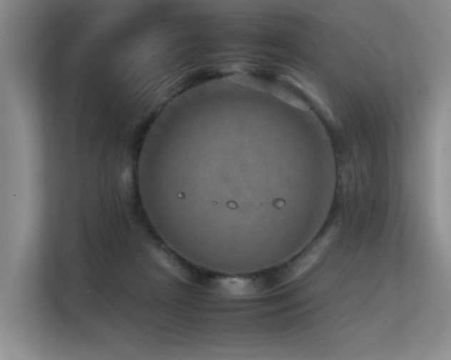 X0000113310265200909141318