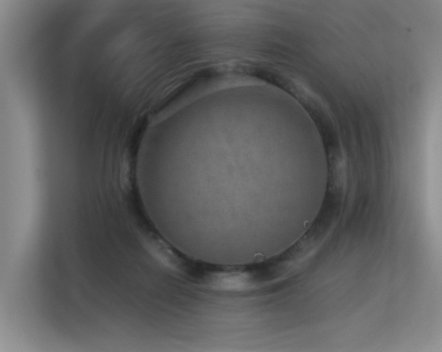 X0000113310266200909141318