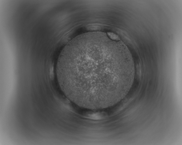 X0000113310267200909141318