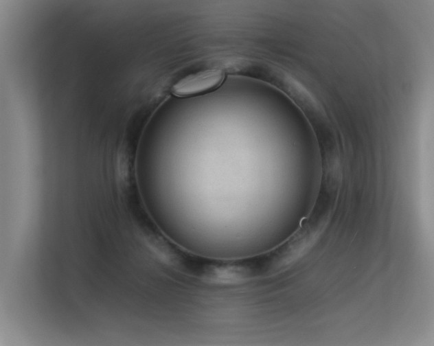 X0000113310268200909141318