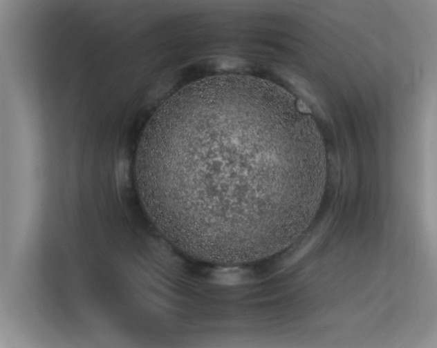 X0000113310269200909141318