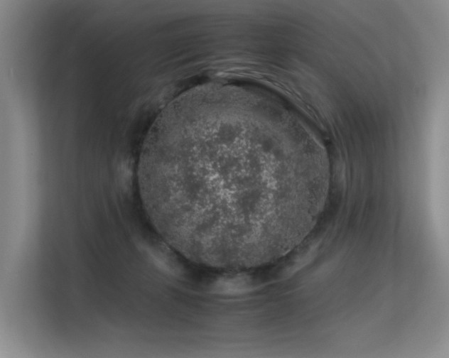 X0000113310271200909141318