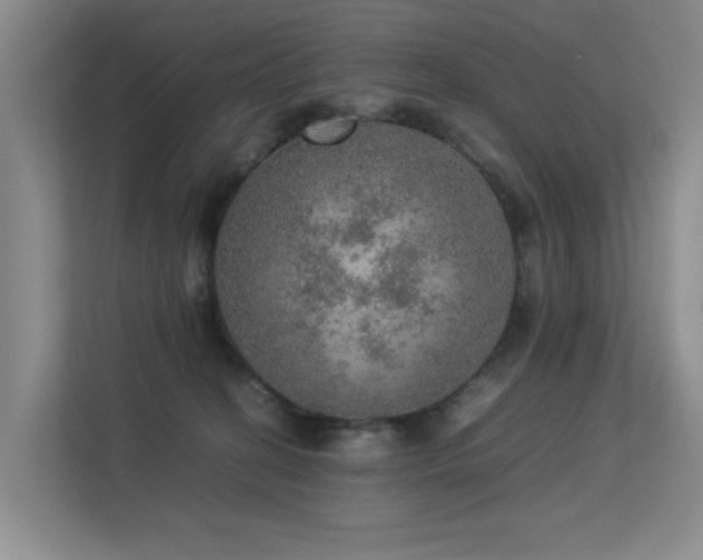 X0000113310274200909141318