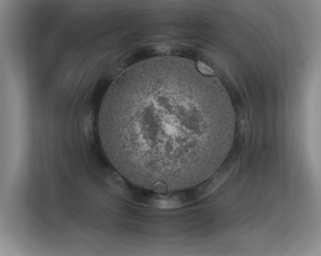 X0000113310275200909141318