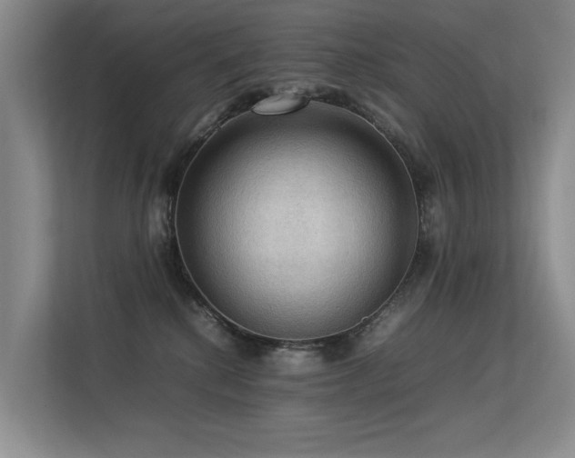 X0000113310280200909141318