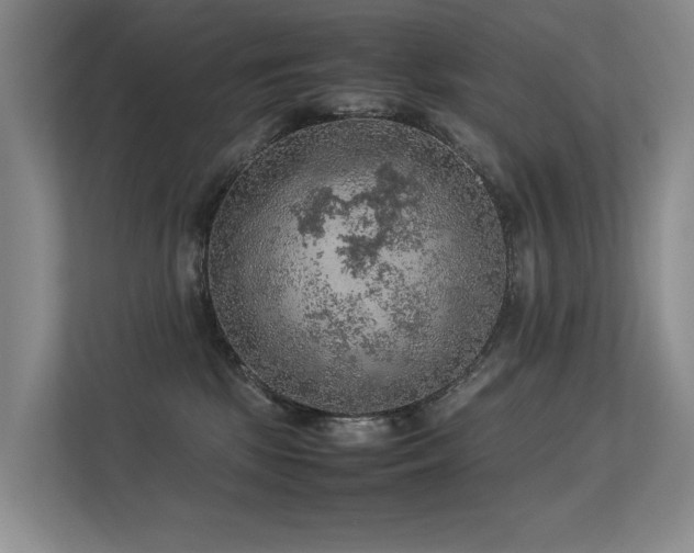 X0000113310281200909141318