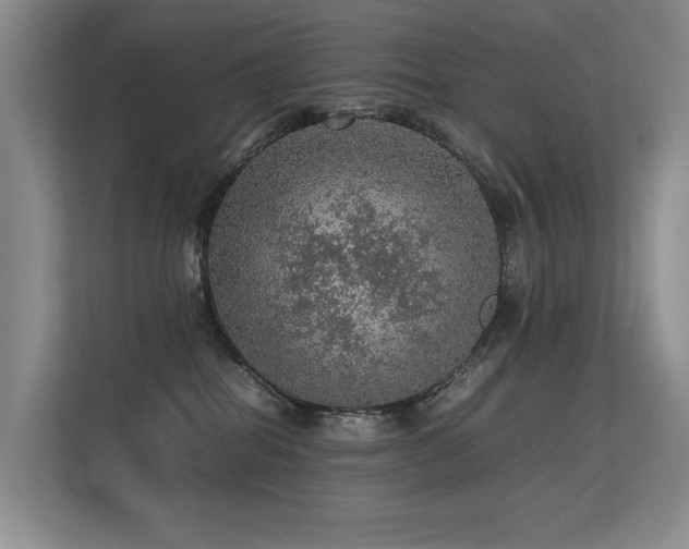 X0000113310282200909141318