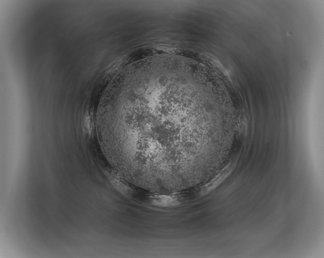 X0000113310285200909141318