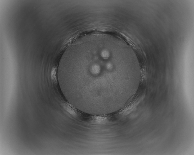 X0000113310286200909141318